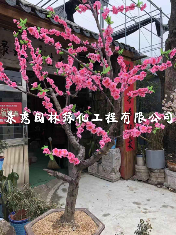 桃花