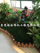 办公室绿植租赁：营造良